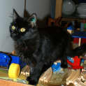 Photo of Smoochy