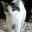 Photo of Chanel
