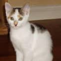 Photo of Pippy