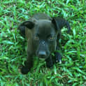 Photo of Azure 