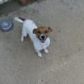 Photo of Pablo