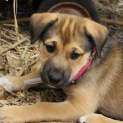 Photo of Issey