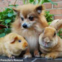 Photo of Nancy  Special Needs  Blind And Deaf
