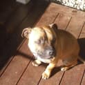 Photo of Jacko