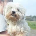 Photo of Sofie