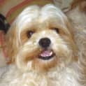 Photo of Marcus