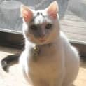 Photo of Ziggy