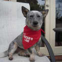 Photo of Tilly