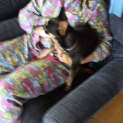 Photo of Jazz (2)