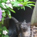 Photo of Buffy