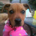 Photo of Cutie Pie