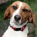 Photo of Caeli (On Trial With A New Family)