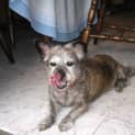 Photo of Mimi