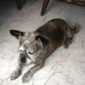 Photo of Mimi
