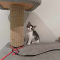 Photo of Leia