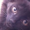 Photo of Rubie