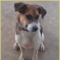 Photo of Bonnie