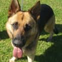Photo of Keisha On Trial With Her New Family