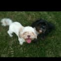 Photo of Tiffany *Must Go With Gizzmo*