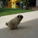 Photo of Gemma
