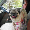 Photo of Gemma