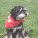 Photo of Monty