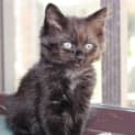 Photo of Milly
