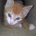 Photo of Fisher