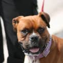 Photo of Princess