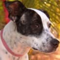 Photo of Tahlia(d1998)