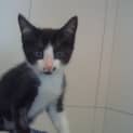 Photo of Hugo