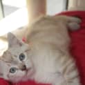 Photo of Miss Skaify