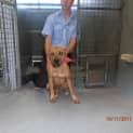 Photo of 12 Month Pup In Pound Sunday Deadline