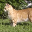Photo of Sully