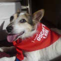Photo of Barney
