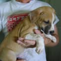 Photo of Charlie Brown