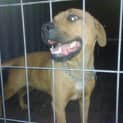 Photo of Shelly