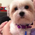 Photo of Matilda