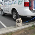 Photo of Buddy