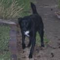 Photo of Molly