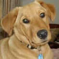 Photo of Jedd