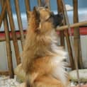 Photo of Max
