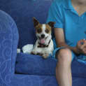 Photo of Bella