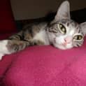 Photo of Macy