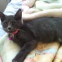 Photo of Izzy