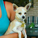 Photo of Pappi