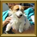 Photo of Mister