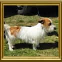 Photo of Mister