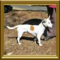 Photo of Remo
