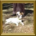Photo of Murray